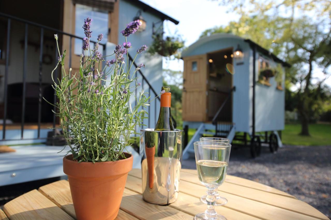 Upper Gelli Luxury Holiday Lodge, Converted Dairy & Cosy Shepherds Huts Welshpool Extérieur photo