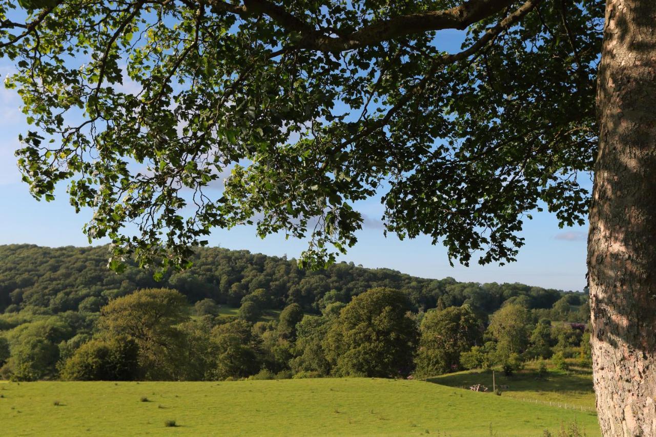 Upper Gelli Luxury Holiday Lodge, Converted Dairy & Cosy Shepherds Huts Welshpool Extérieur photo