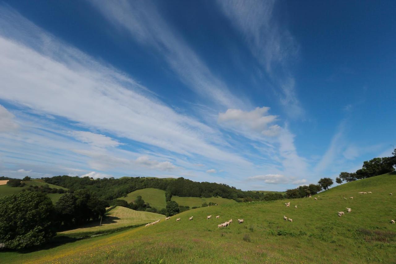 Upper Gelli Luxury Holiday Lodge, Converted Dairy & Cosy Shepherds Huts Welshpool Extérieur photo