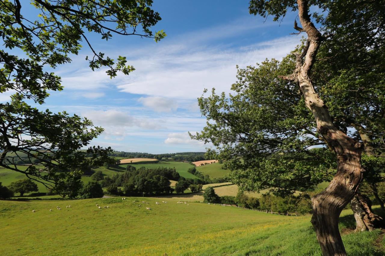 Upper Gelli Luxury Holiday Lodge, Converted Dairy & Cosy Shepherds Huts Welshpool Extérieur photo