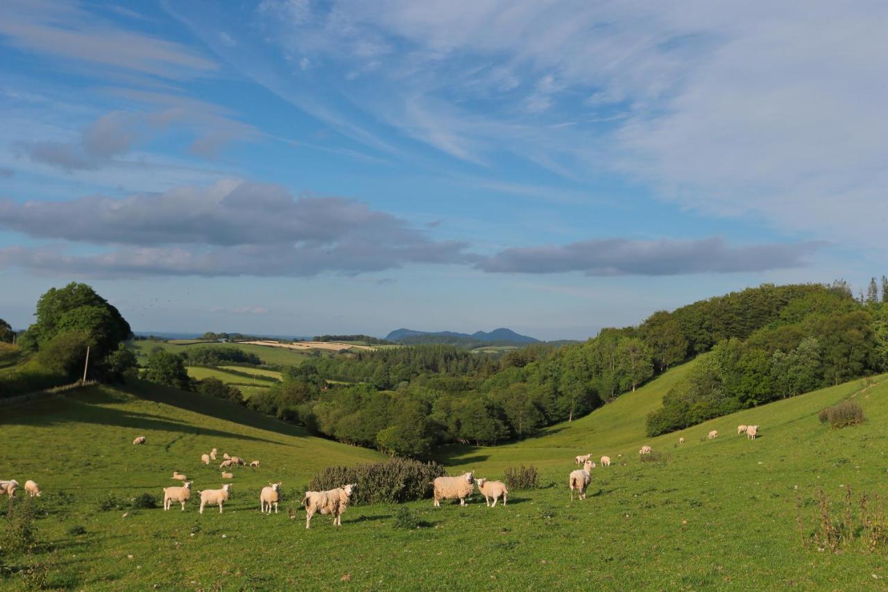Upper Gelli Luxury Holiday Lodge, Converted Dairy & Cosy Shepherds Huts Welshpool Extérieur photo