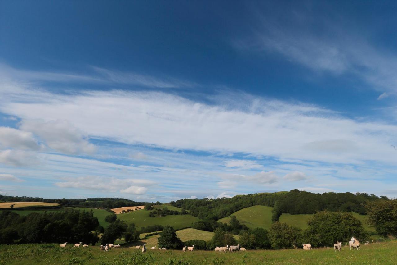 Upper Gelli Luxury Holiday Lodge, Converted Dairy & Cosy Shepherds Huts Welshpool Extérieur photo