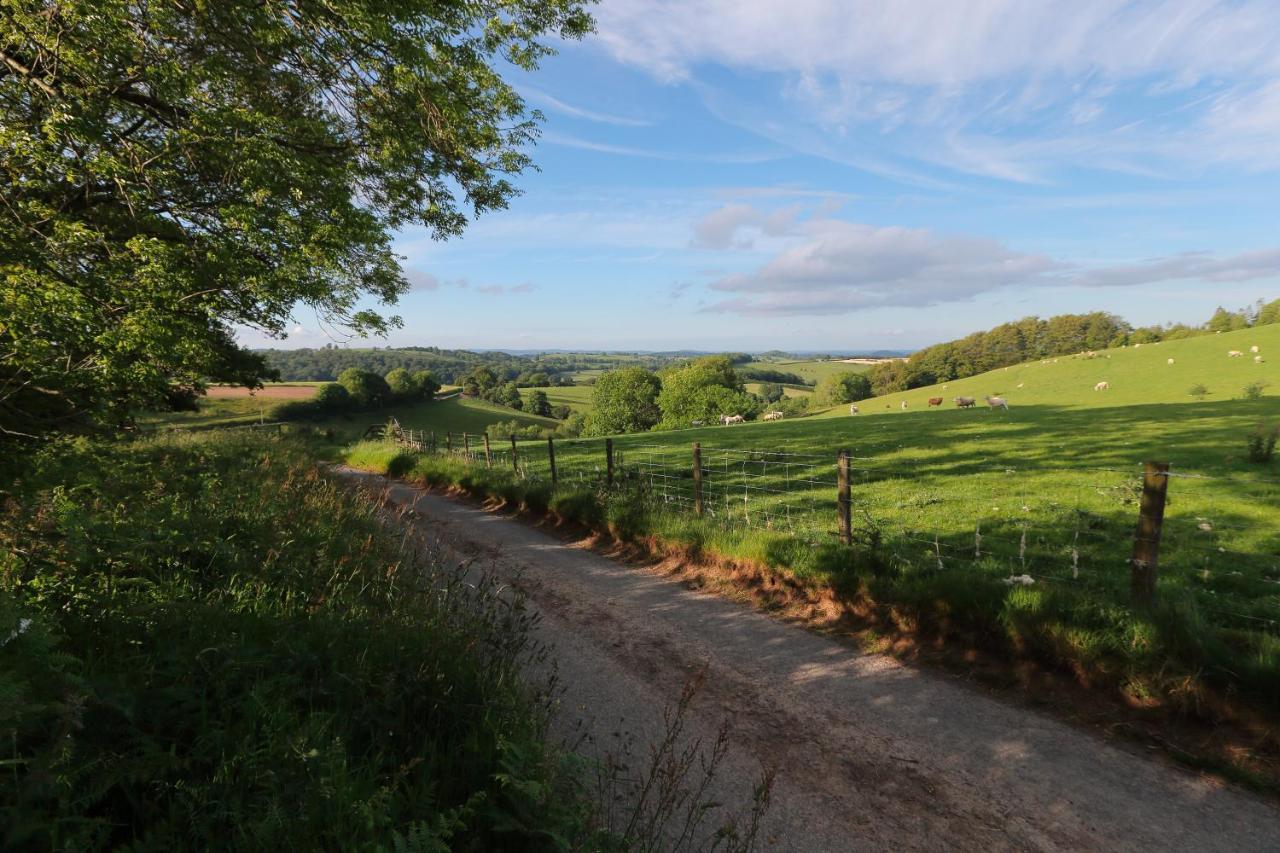 Upper Gelli Luxury Holiday Lodge, Converted Dairy & Cosy Shepherds Huts Welshpool Extérieur photo