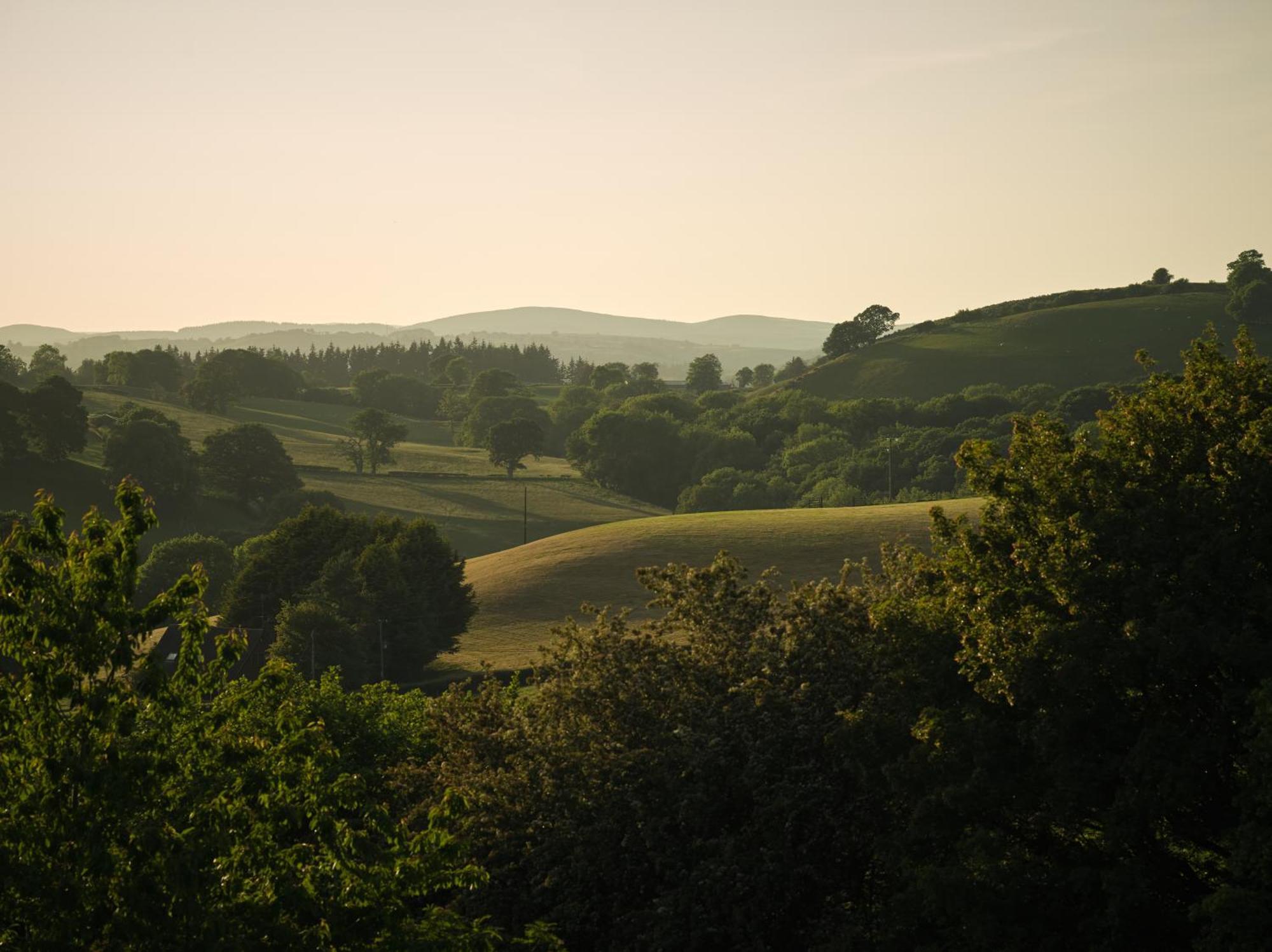 Upper Gelli Luxury Holiday Lodge, Converted Dairy & Cosy Shepherds Huts Welshpool Extérieur photo